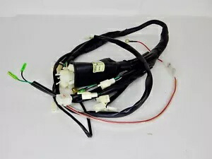 TAO TAO BULL 200 ATV 用ワイヤーハーネス *OEM* WIRING HARNESS FOR TAO TAO BULL 200 ATV *OEM* 【並行輸入品】