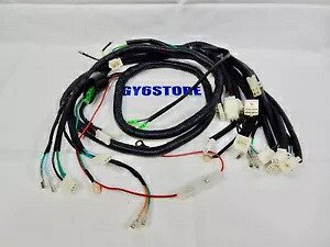 タオタオ (CY50A) VIP 50cc スクーター完全なワイヤリングハーネスアセンブリ *OEM* TAO TAO (CY50A) VIP 50cc SCOOTER COMPLETE WIRING HARNESS ASSEMBLY *OEM* 【並行輸入品】