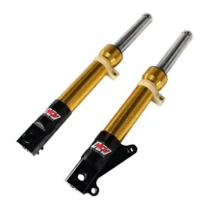 NCY フロントフォークショック (ゴールド、ディスクブレーキタイプ) ホンダ ラッカス、DIO NCY FRONT FORKS SHOCKS (GOLD ,DISC BRAKE TYPE) HONDA RUCKUS, DIO 【並行輸入品】