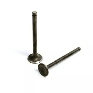50cc QMB139 モーターを搭載した TAOTAO スクーター用 69mm バルブセット 69mm VALVE SET FOR TAOTAO SCOOTERS WITH 50cc QMB139 MOTORS 【並行輸入品】