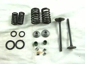CG 200cc Honda CLONE MOTORS ストリート / ダートバイク & ATV 用バルブアセンブリ Valve Assembly for CG 200cc Honda CLONE MOTORS FOR STREET / DIRT BIKES & ATVS 【並行輸入品】