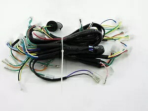 TAOTAO ROMAN CY 150-E 150cc スクーター完全な配線ハーネス *OEM* TAOTAO ROMAN CY 150-E 150cc SCOOTER COMPLETE WIRING HARNESS *OEM* 【並行輸入品】