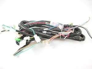 TAOTAO EVO 150CC スクーター完全なワイヤーハーネス *新品* TAOTAO EVO 150CC SCOOTER COMPLETE WIRE HARNESS *NEW* 【並行輸入品】