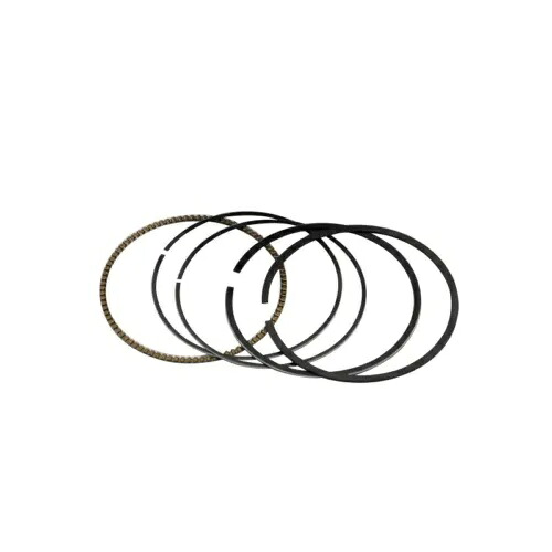 ホンダ XR250 STD ボア 73 ミリメートルリング 1996-2004 For Honda XR250 STD Bore 73mm Rings 1996-2004 【並行輸入品】