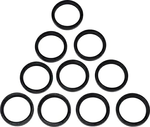 DS フォーク オイル シール 49mm 10 個パック #212167 DS Fork Oil Seals 49mm 10-Pack #212167 【並行輸入品】