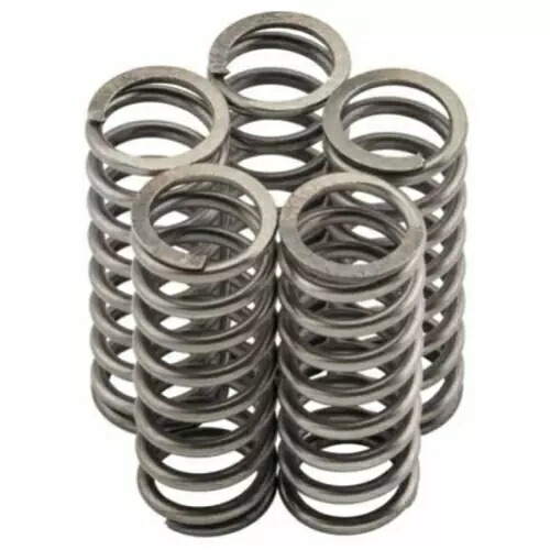 スズキ GSX600F n-V 92-97 ニューフレン クラッチ スプリング キット MO095F- Suzuki GSX600F n-V 92-97 Newfren Clutch Spring Kit MO095F- 【並行輸入品】