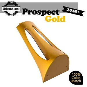 PROSPECT ゴールド ABS プラスチックチンスポイラー M8 ハーレー ローワー ライダー ストリート ボブに適合 PROSPECT GOLD ABS Plastic Chin Spoiler Fits M8 Harley Lower Rider Street Bob 【並行輸入品】｜カスタムパーツ WORLD倉庫 78,045円