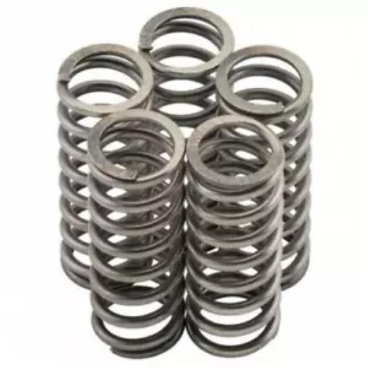 スズキ RM-Z250 K7-K9 07-09 NewFren クラッチ スプリング キット MO310F Suzuki RM-Z250 K7-K9 07-09 NewFren Clutch Spring kit MO310F 【並行輸入品】
