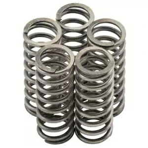 スズキ RM-Z450 K5-L8 05-18 ニューフレン クラッチ スプリング キット MO312F- Suzuki RM-Z450 K5-L8 05-18 Newfren Clutch Spring Kit MO312F- 【並行輸入品】