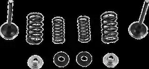Moose ステンレススチールバルブとスプリングエキゾーストキット シール付き ホンダ CB300F 15-18 Moose Stainless Steel Valve and Spring Exhaust Kit w Seals Honda CB300F 15-18 【並行輸入品】