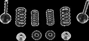 Moose ステンレススチール バルブとスプリング エキゾーストキット シール付き ホンダ Rebel 300 17-18 Moose Stainless Steel Valve and Spring Exhaust Kit w Seals Honda Rebel 300 17-18 【並行輸入品】