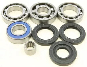 Arctic Cat 500 オートマチック 4x4 02 用オールボール リア ディファレンシャル ベアリング キット All Balls Rear Differential Bearing Kit for Arctic Cat 500 Automatic 4x4 02 【並行輸入品】