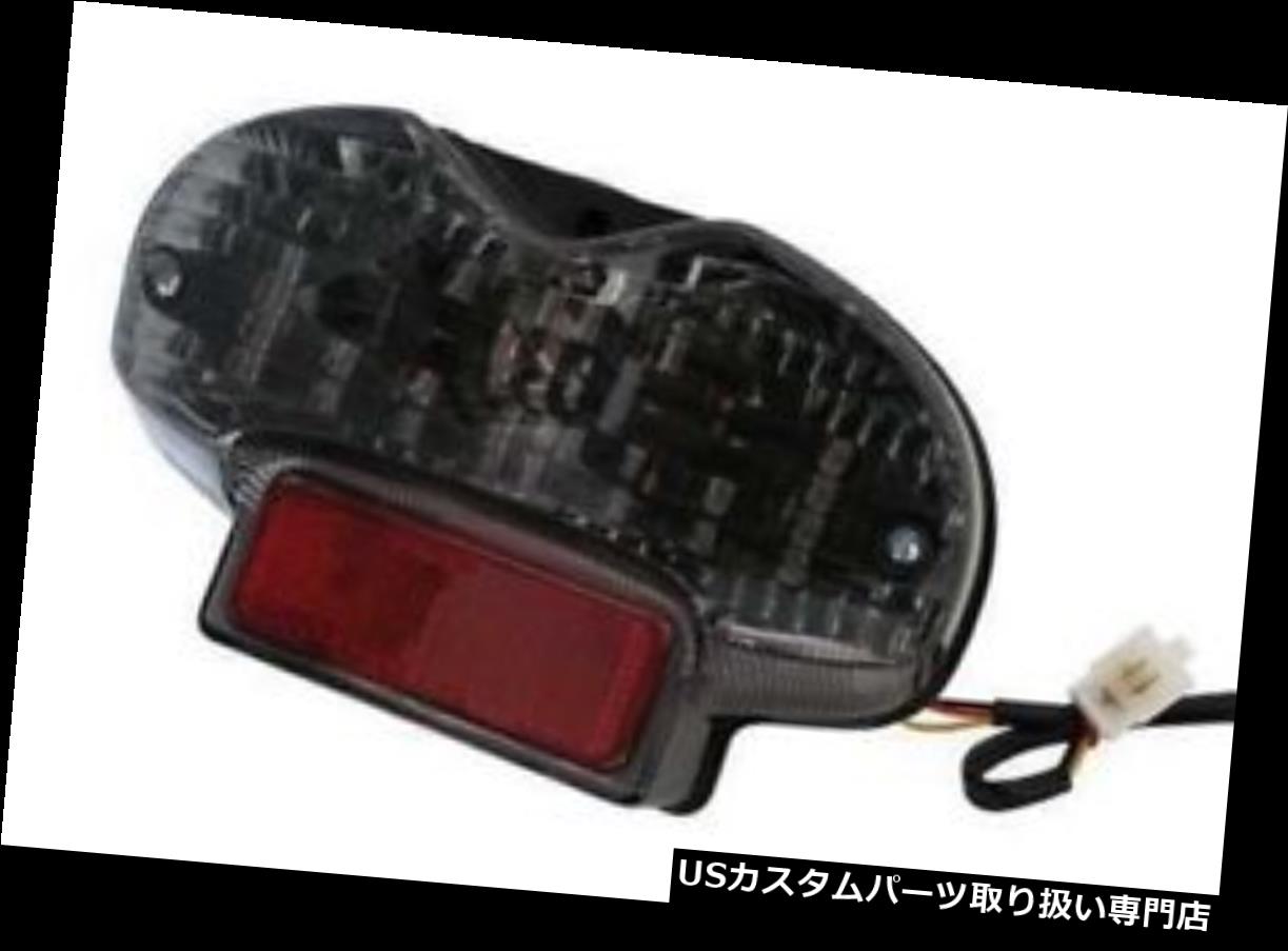 USテールライト 着色ガラス鈴木GSF 600強盗00-04、GSF 1200 01-05とテールライトのLED Led Taillight with Tinted Glass Suzuki GSF 600 Bandit 00-04, GSF 1200 01-05 【並行輸入品】
