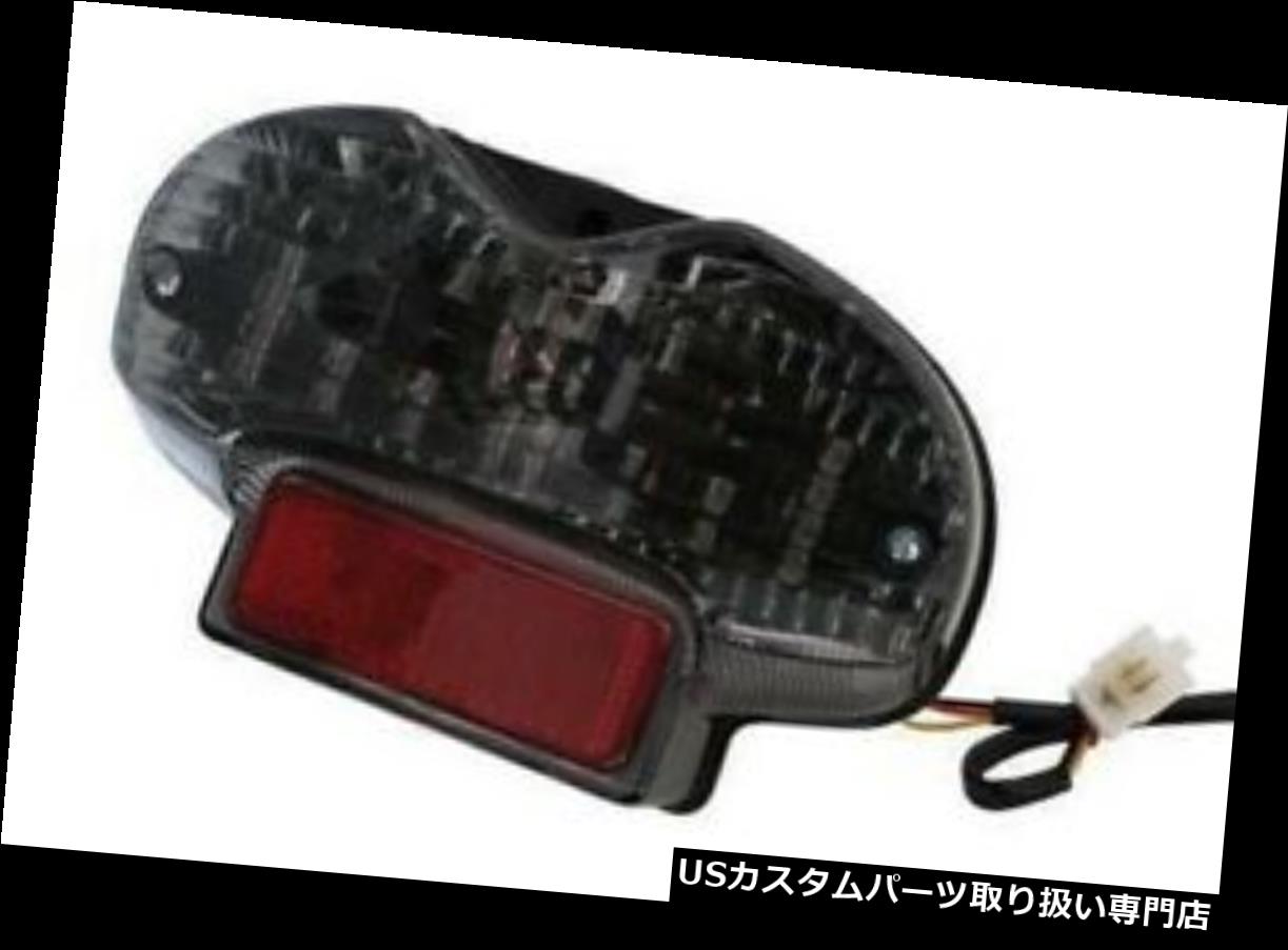 USテールライト 着色ガラス鈴木GSF 600強盗00-04、GSF 1200 01-05とテールライトのLED Led Taillight with Tinted Glass Suzuki GSF 600 Bandit 00-04, GSF 1200 01-05 【並行輸入品】