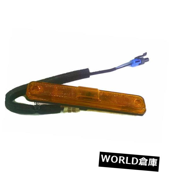 サイドマーカー 純正GMサイドマーカーランプ25952319 Genuine GM Side Marker Lamp 25952319 【並行輸入品】