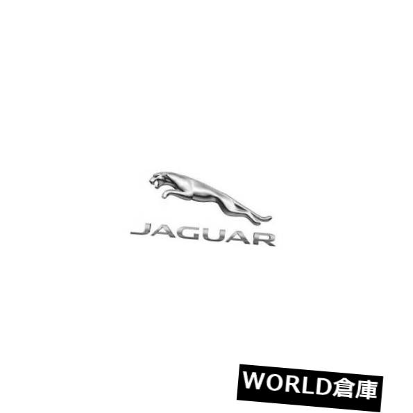 サイドマーカー 純正ジャガーサイドマーカーXR847586 Genuine Jaguar Side Marker XR847586 【並行輸入品】