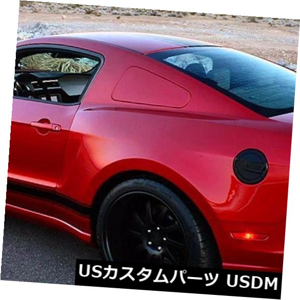 輸入マフラー SHELBYスーパースネークO.Eアクスルバックエキゾースト2013-2014フォードマスタングGT500コブラSVT SHELBY Super Snake O.E Axle Back Exhaust 2013-2014 Ford Mustang GT500 Cobra SVT 【並行輸入品】