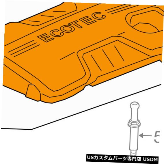 エンジンカバー GM OEMエンジン外観カバー-エンジンカバー12634977 GM OEM Engine Appearance Cover-Engine Cover 12634977 【並行輸入品】