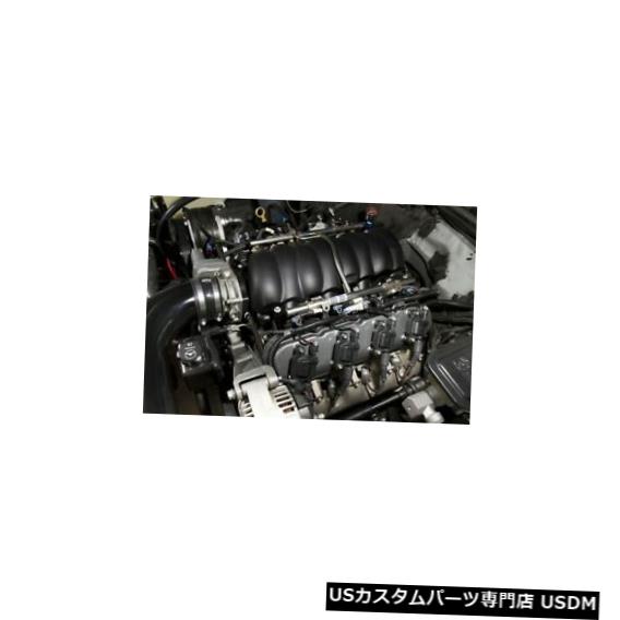エンジンカバー エンジンバルブカバーセットLSバルブカバーHolley 241-88 Engine Valve Cover Set-LS Valve Cover Holley 241-88 【並行輸入品】