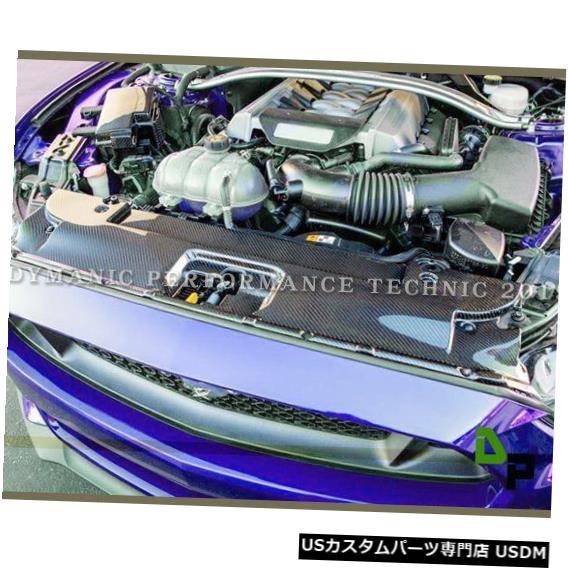 ラジエーターカバー 2015-2017フォードマスタング用カーボン繊維冷却ラジエーターパネルカバープレート Carbon Fiber Cooling Radiator Panel Cover Plate For 2015-2017 Ford Mustang 【並行輸入品】
