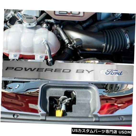 ラジエーターカバー2015-2017マスタングGTのオレンジフューリー「フォード」インレイ付きステンレスラジエーターカバーStainlessRadiatorCoverWithOrangeFury