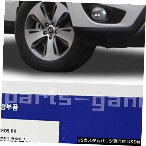 Turn Signal Lamp 876233J000 SANTA FE 2007-2012の外部ミラー信号ランプRH 876233J000 Outside Mirror Signal Lamp RH For SANTA FE 2007-2012 【並行輸入品】