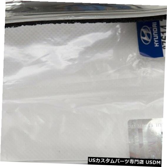 Turn Signal Lamp 2010、2011、2012、Hyundai Tucson ix35の両方のOEM外ミラーリピーターランプ2EA OEM Outside Mirror Repeater Lamp 2EA Both For 2010 2011 2012 Hyundai Tucson ix35 【並行輸入品】