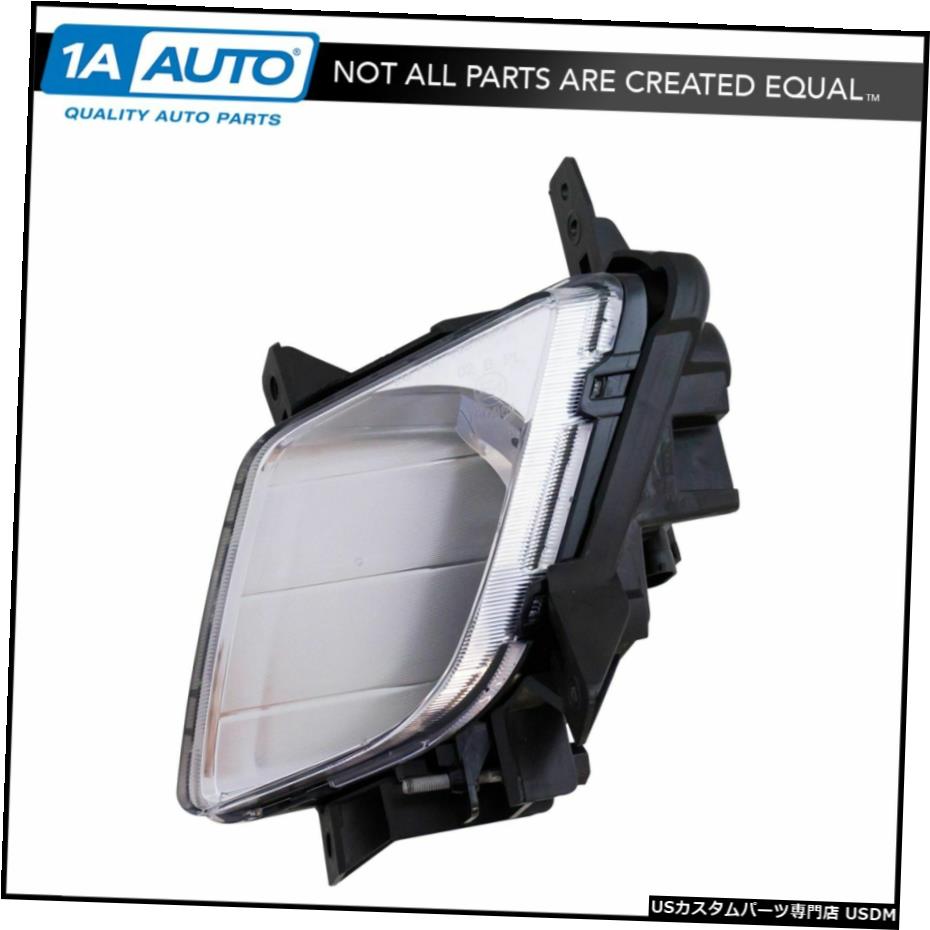 霧ドライビングライトランプドライバ側LH LF 11-13起亜SportageでSUVトラック新のための Fog Driving Light Lamp Driver Side LH LF for 11-13 Kia Sportage SUV Truck New 【並行輸入品】