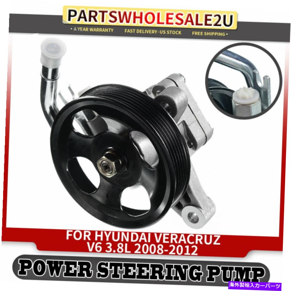 Power Steering Pump 現代ベラクルス3.8L用パワーステアリングポンプ2008 2009 2010 2011 2012 /プーリーのw Power Steering Pump for Hyundai Veracruz 3.8L 2008 2009 2010 2011 2012 w/ Pulley 【並行輸入品】