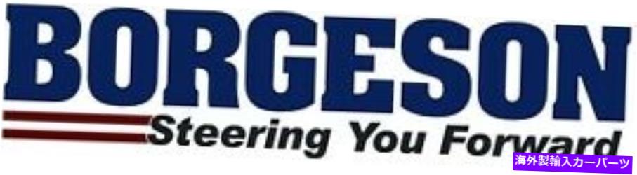 Power Steering Pump パワーステアリングポンプBorgeson 800329 Power Steering Pump Borgeson 800329 【並行輸入品】