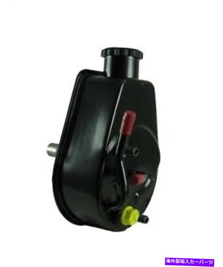 Power Steering Pump 800323パワーステアリングポンプBorgeson Borgeson 800323 Power Steering Pump 【並行輸入品】