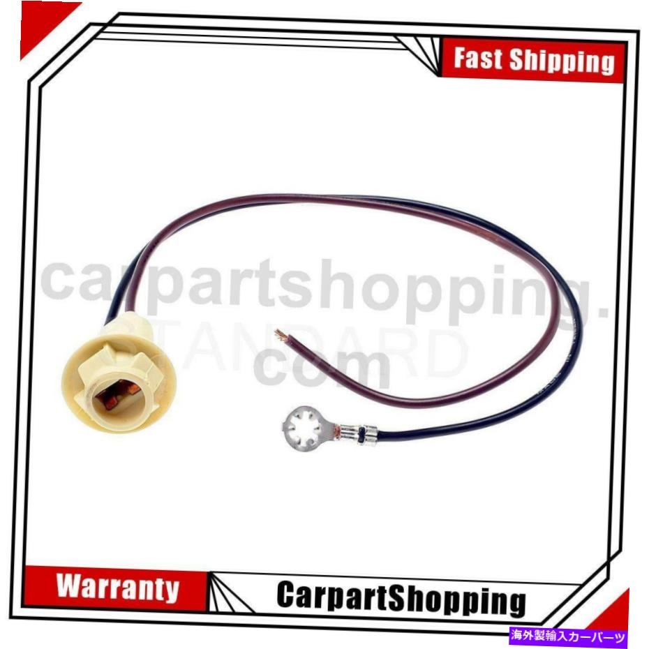 Side Marker 1標準点火サイドマーカーライトソケットのポンティアック6000 1 Standard Ignition Side Marker Light Socket For Pontiac 6000