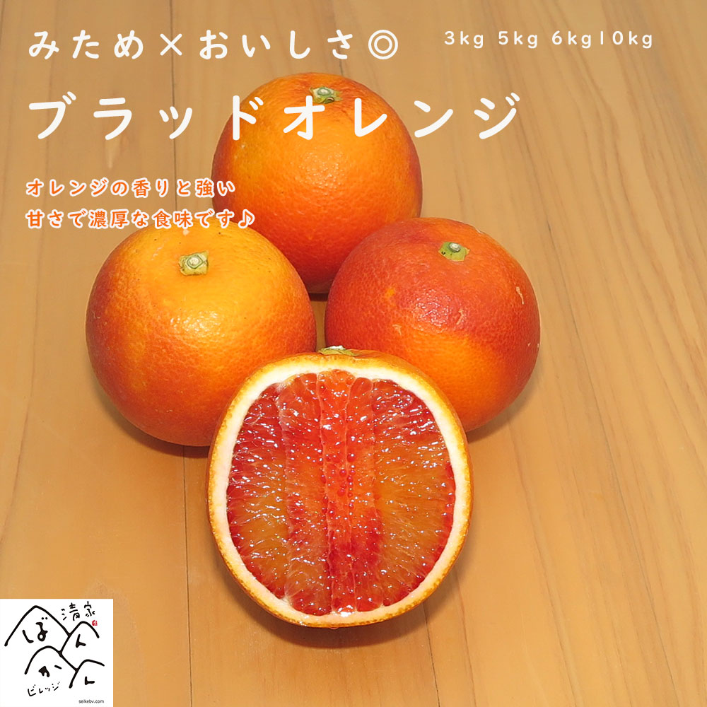 ブラッドオレンジ わけあり モロ タロッコ 香りと強い甘さで濃厚な食味です♪ 選べる内容量3kg/5kg/6kg/10kg 産地直送セール 愛媛県産【送料無料※北海道・沖縄は除く】画像