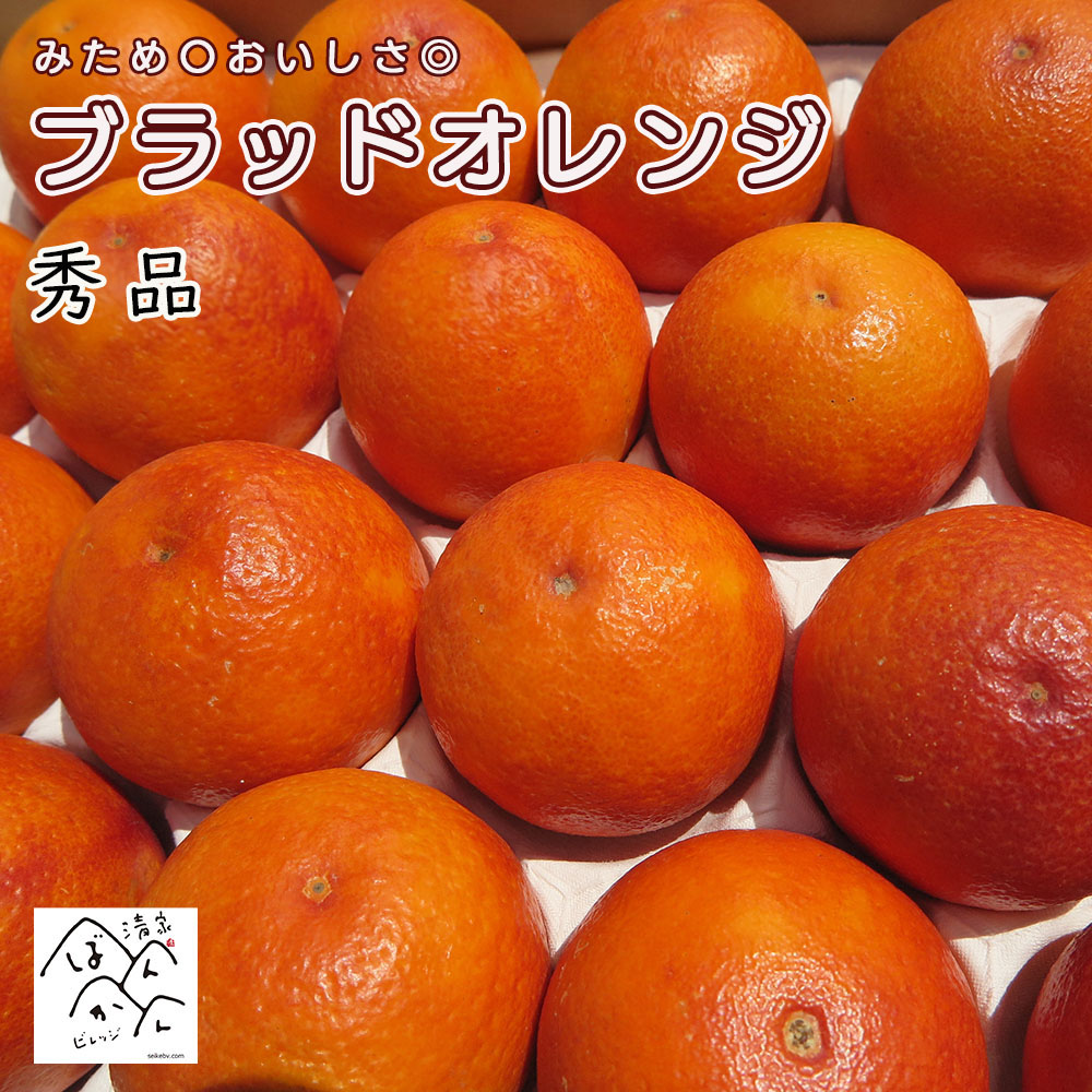 特選 ブラッドオレンジ 3kg 5kg M/L 【秀品】みため〇おいしさ◎ ギフト 愛媛県産 モロオレンジ タロッコオレンジ【送料無料※北海道・沖縄は除く】画像
