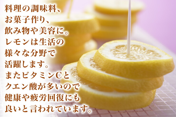 レモン訳あり2kg お試し みため×おいしさ◎ 安心の国産レモン「愛媛県愛南町産」リスボンレモン・マイヤーレモン・りのか フルーツ・果物 | earnesthomeco.com