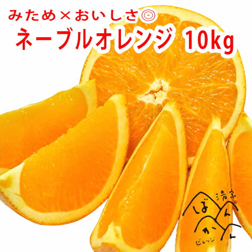 ネーブルオレンジ10kg 訳あり みため×おいしさ◎ 甘い柑橘 熟 フルーツ 果物 お取り寄せ 産地直送 愛媛県愛南町産【送料無料※北海道・沖縄は除く】