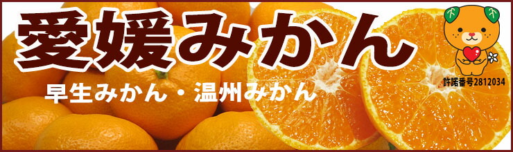 楽天市場】愛媛 みかん大玉 訳あり10kg 2L〜3L みため×おいしさ◎ 温州