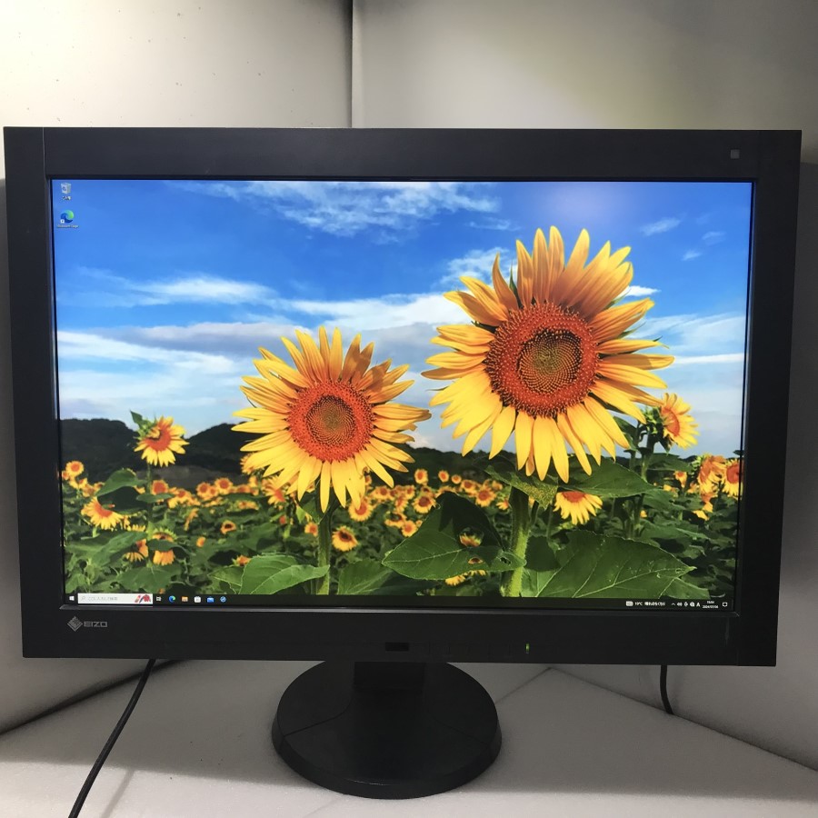 EIZO RadiForce RX440 液晶モニタ29.8 使用时间5451H RadiForce RX440 | EIZO