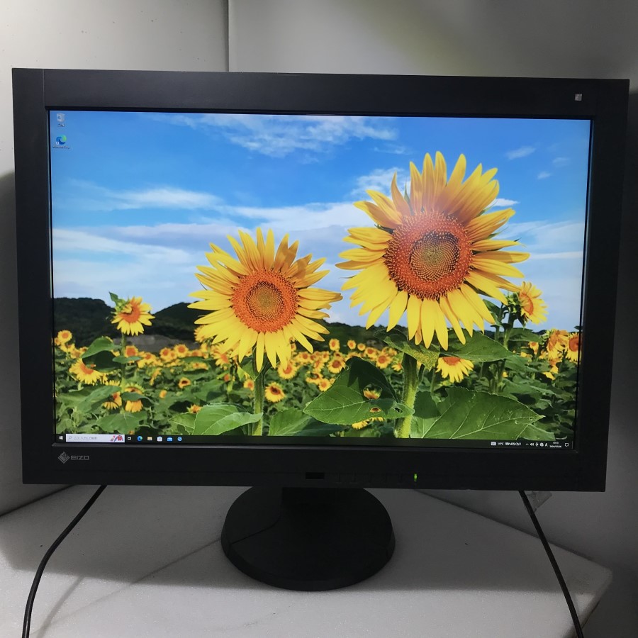 楽天市場】EIZO RadiForce GX340 医用 モノクロ液晶モニター IPS