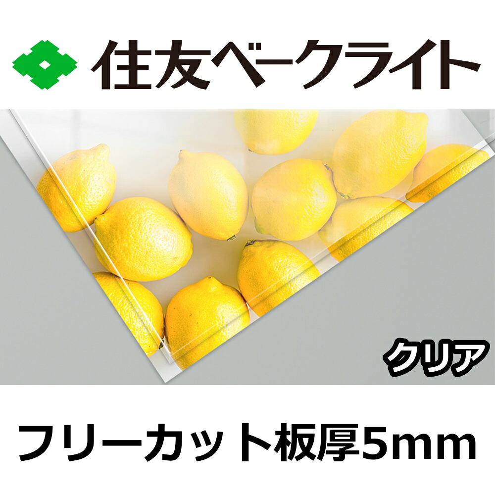 住友 ポリカーボネート板 5mm クリア フリーカット 切り売り 12,080円/1平米 UVカット 紫外線 両面耐候 カーポートなどに｜セイコーテクノ