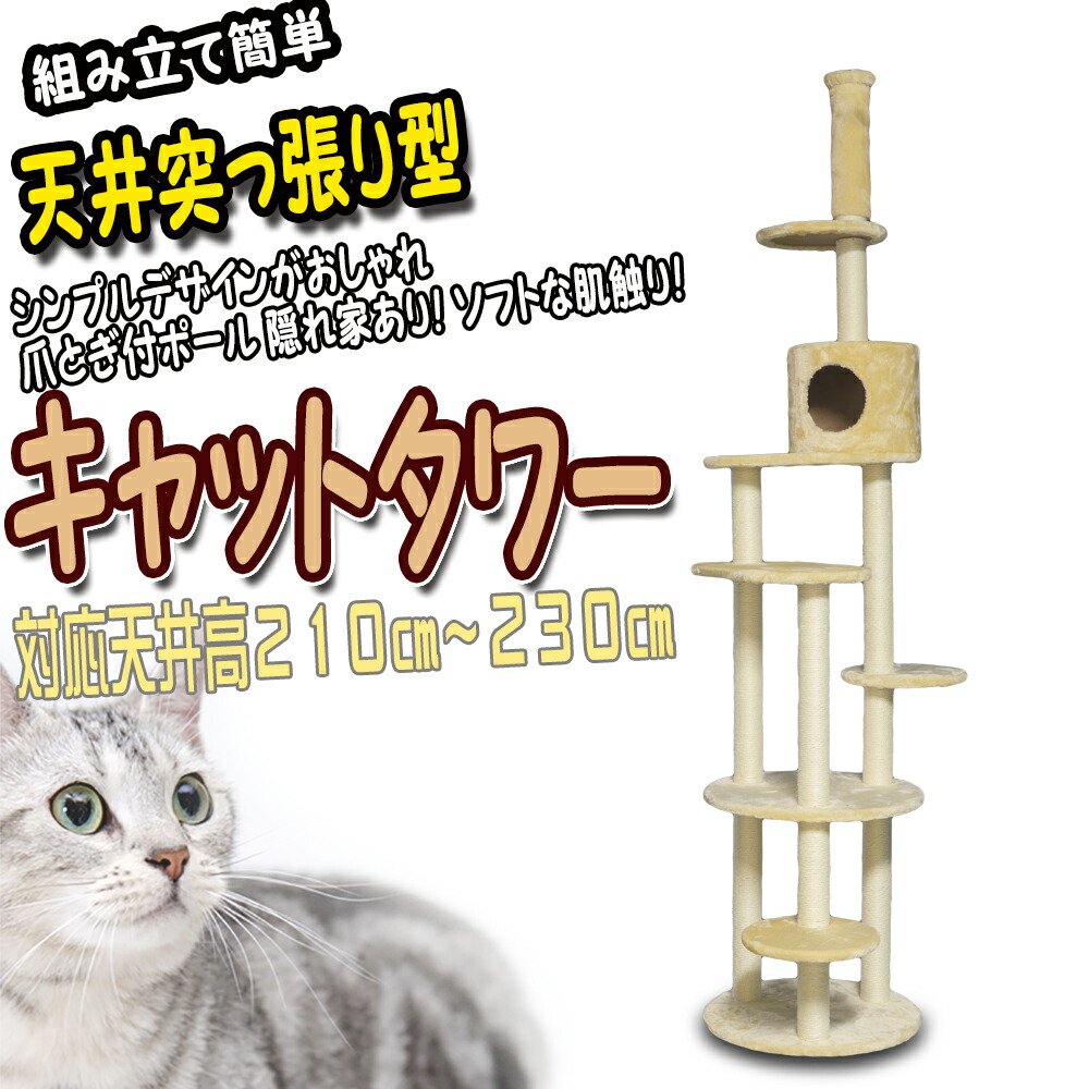 隠れ家付き 天井が低いお部屋用 突っ張り 隠れ家付き キャットポール キャットタワー インバーター 猫ちゃんタワー ストレス解消 隠れ家 据え置き 運動不足 木登りタワー 爪とぎ 遊び場 猫 ネコ ねこ キャット Cat 組み立て 固定 スリム ペットグッズ ペット用品 送料無料 隠れ家付き 天井が低いお部屋用 突っ張り 隠れ家付き キャットポール キャットタワー インバーター 猫ちゃんタワー ストレス解消 隠れ家 据え置き 運動不足 木登りタワー 爪とぎ 遊び場 猫 ネコ ねこ キャット Cat 組み立て 固定 スリム ペットグッズ ペット用品 送料無料