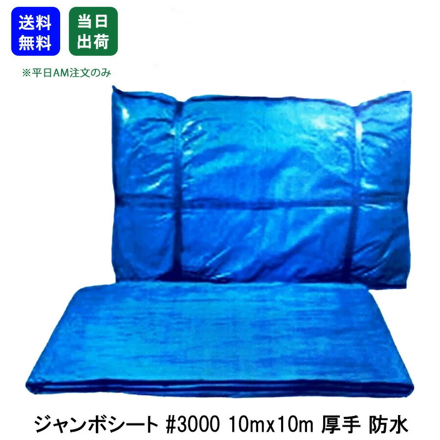 【最大限度10％OFF引き換え証あり】青色腰かけ 雨合羽 朦々たる #3000 10m x 10m 1枚 ジャンボ腰かけ 床材 颱風打つ手 花見 息休め 余暇 アウトドア 雨よけ 競技大会 身寄り家庭菜園 DIYやり方 手道具 飛騨工 一こま