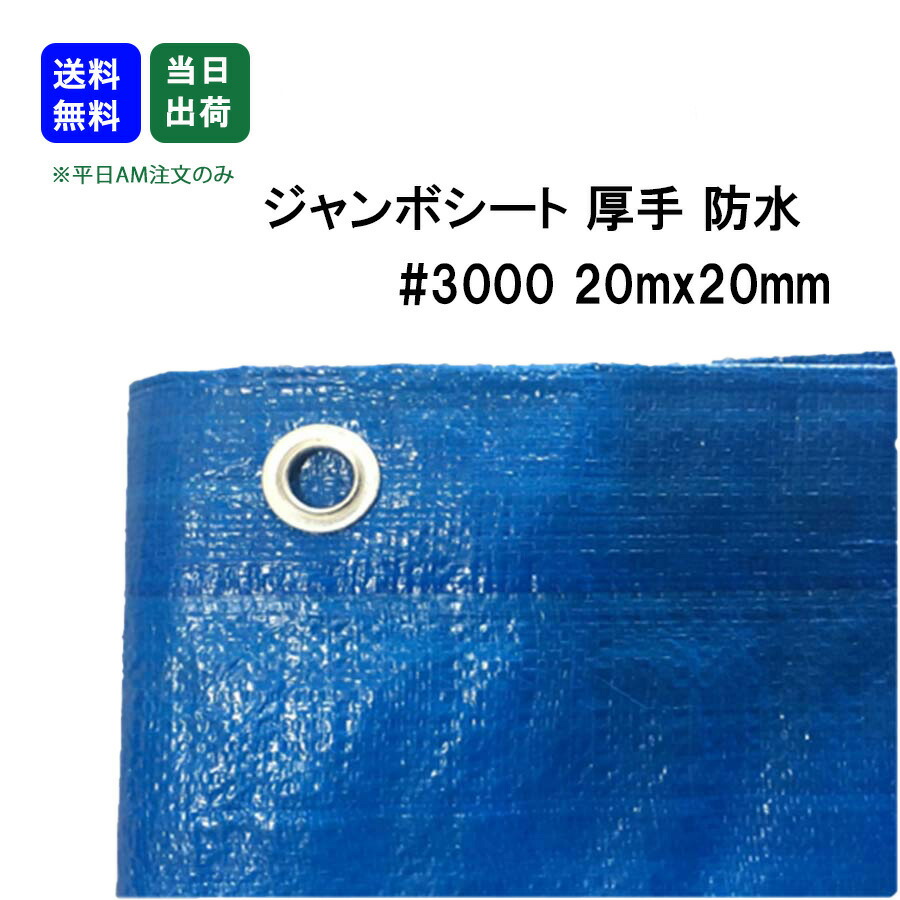 【最大10％OFFクーポンあり】ブルーシート　防水　厚手　#3000　20m x 20m　1枚　敷物　台風対策　花見　養生　レジャー　アウトドア　雨よけ　運動会 家庭菜園 DIY作業 工具 大工 現場｜SEIKO建材