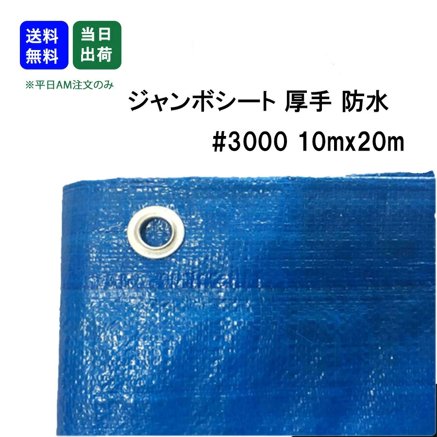 【最大限度10％OFFクーポン券あり】青み居敷き 雨合羽 朦々たる #3000 10m x 20m 1枚 床材 颶風打つ手 花見 息抜き 余暇 アウトドア 雨よけ 競技大会 身寄り家庭菜園 DIY御役目 手道具 宮大工 一こま