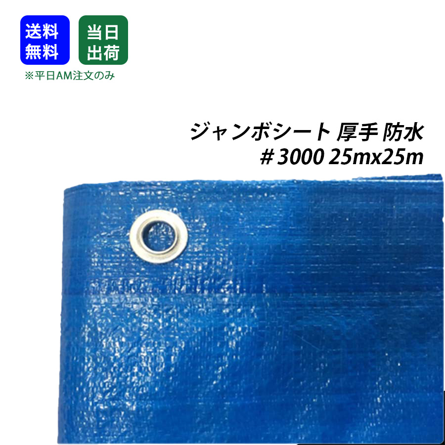 【最大10％OFFクーポンあり】ブルーシート 防水 厚手 #3000 25m x 25m 1枚 ジャンボシート 敷物 台風対策 花見 養生 レジャー アウトドア 雨よけ 運動会 家庭菜園 DIY作業 工具 大工 現場｜SEIKO建材