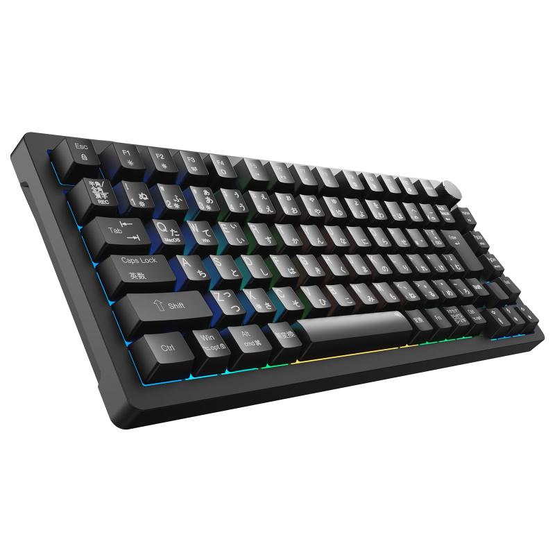 ゲーミングキーボード 2025年業界初 日本語JIS配列＆かな印字一体化 75%コンパクト メカニカルキーボード ガスケットマウント/サテライト軸 押下圧40g Pキーキャップ カスタマイズ可能 マル