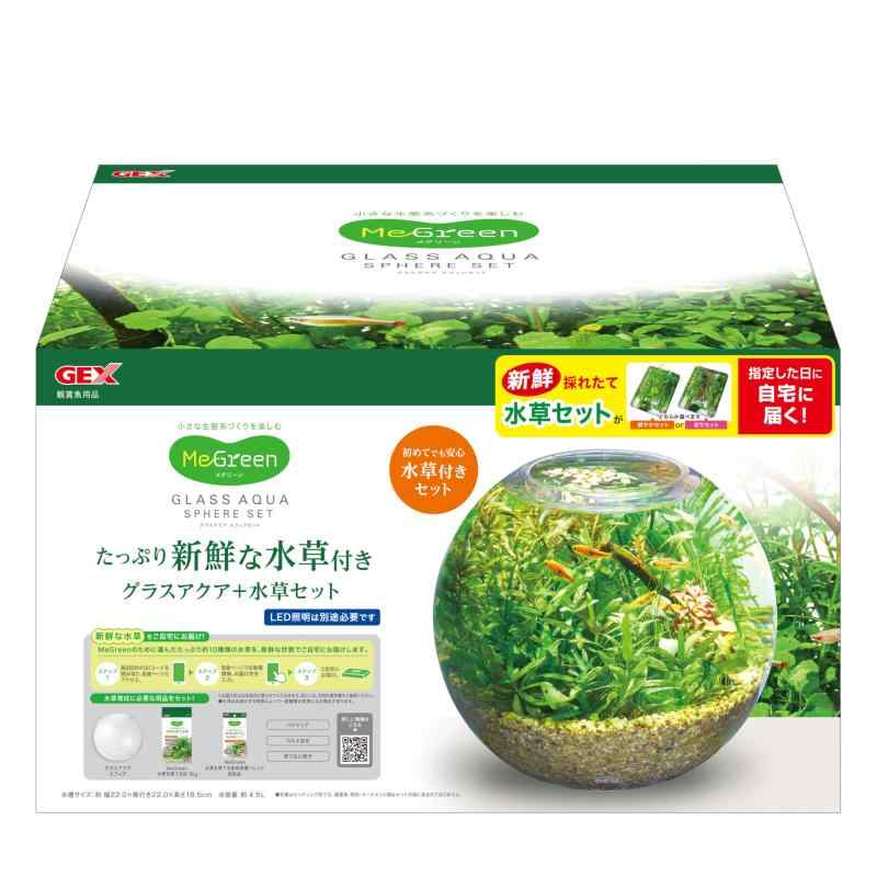 MeGreen 新鮮な水草付き グラスアクア