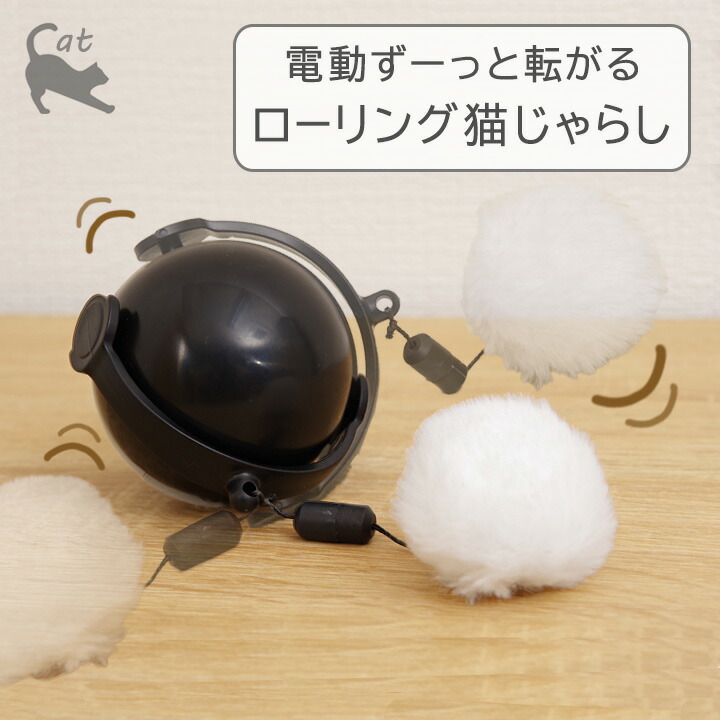 ねこじゃらし 10000547-1.jpg
