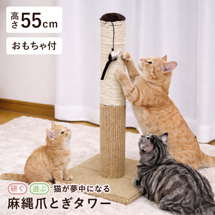 楽天市場】【楽天1位】 ネコのつめとぎタワー ミニ DHオリジナル 爪