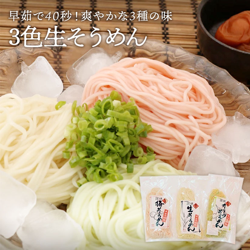 するめソーメン　6パックセット するめソーメン 6g入×40袋入 1BOX 逢坂食品 : 善野菓子店